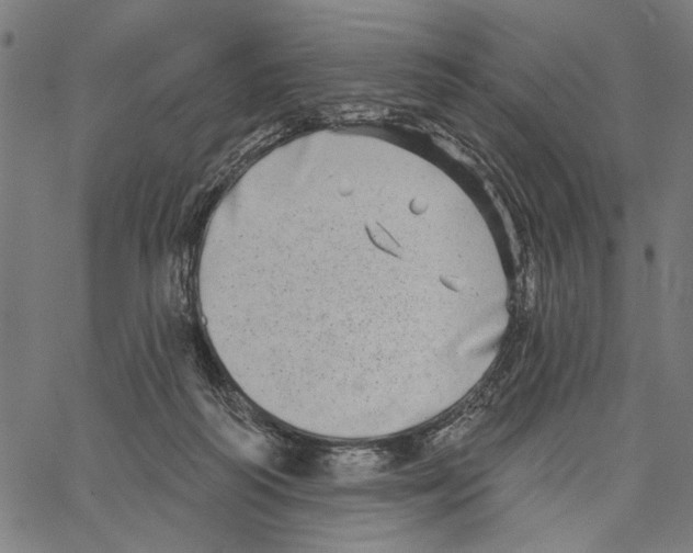 X0000062140218200601060931