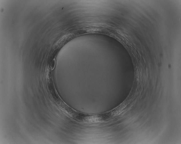 X0000062140219200601060931