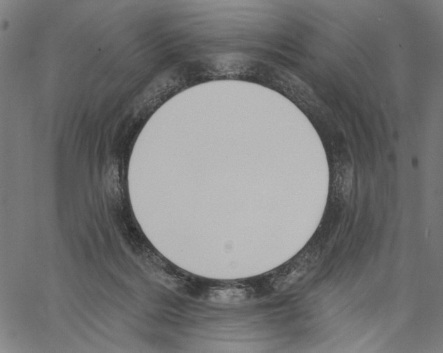 X0000062140220200601060931