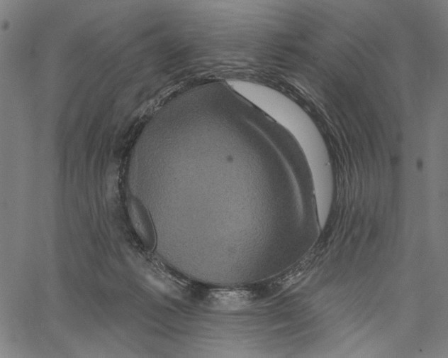 X0000062140221200601060931