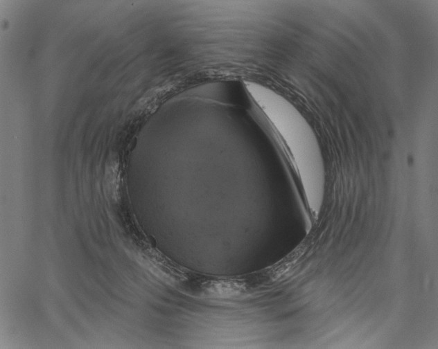 X0000062140223200601060931