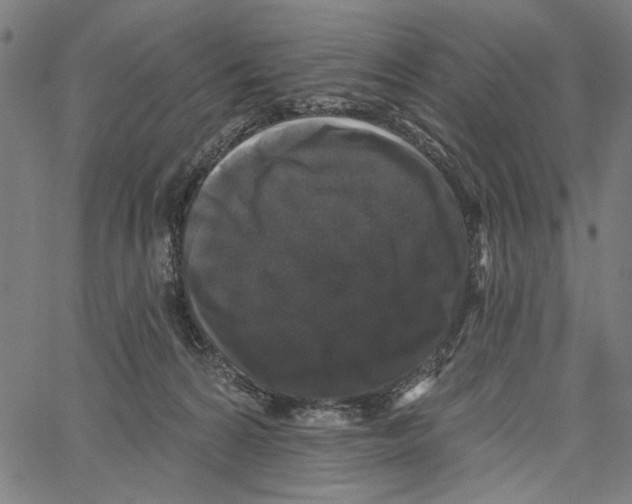 X0000062140224200601060931