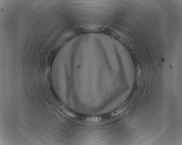 X0000062140225200601060931