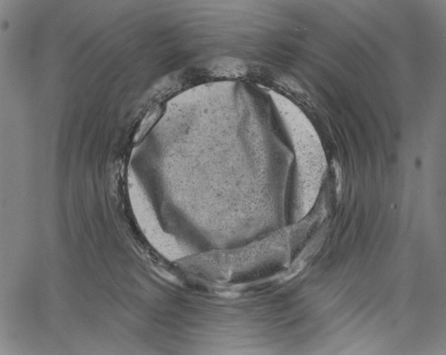 X0000062140229200601060931