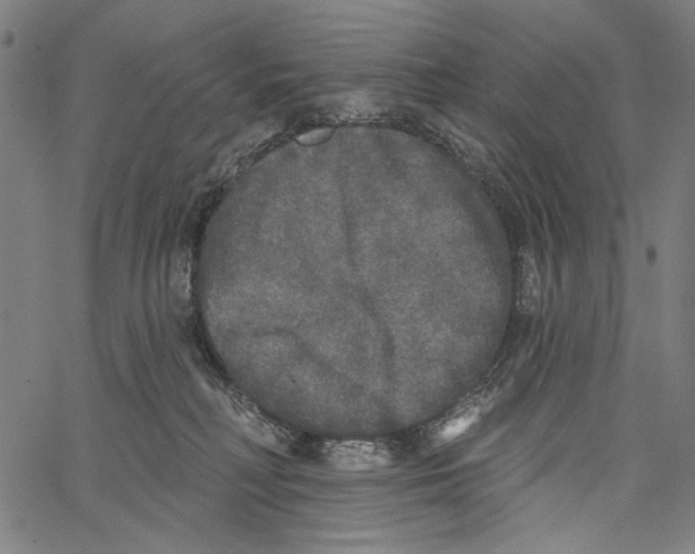 X0000062140230200601060931