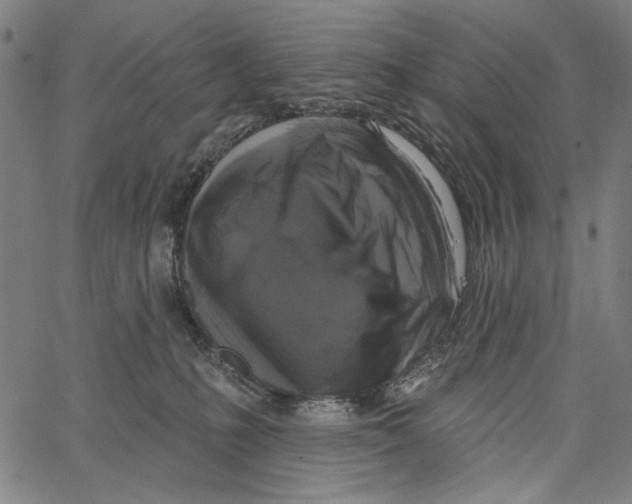 X0000062140231200601060931