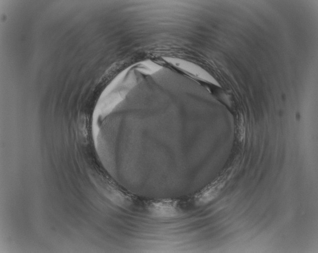 X0000062140232200601060931