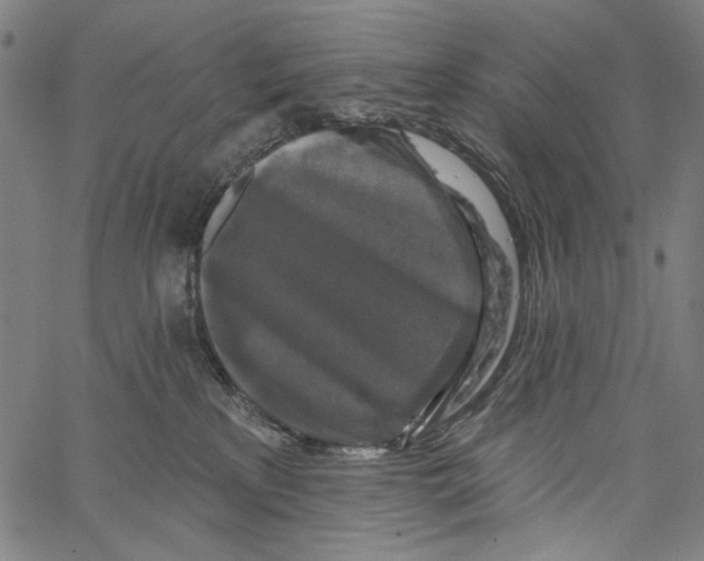 X0000062140233200601060931