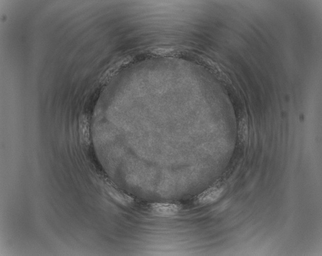 X0000062140234200601060931