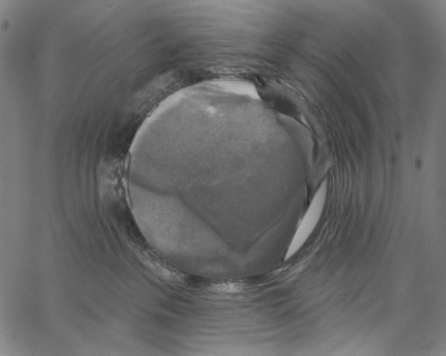 X0000062140237200601060931