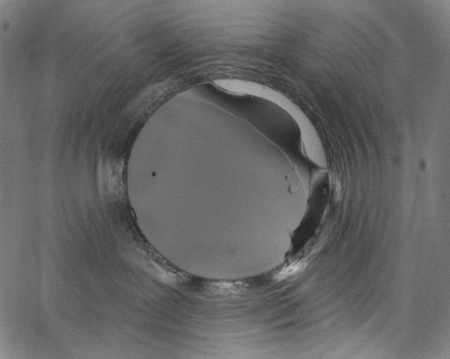 X0000062140239200601060931