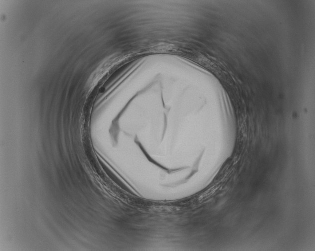 X0000062140242200601060930