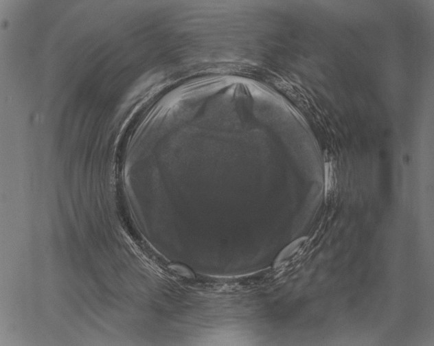 X0000062140243200601060930