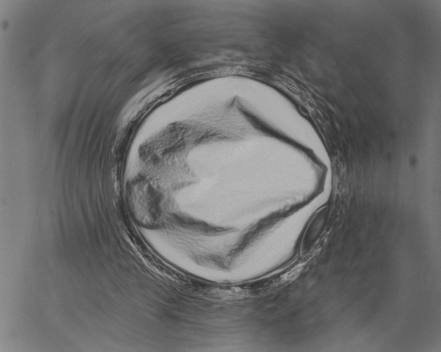 X0000062140245200601060930