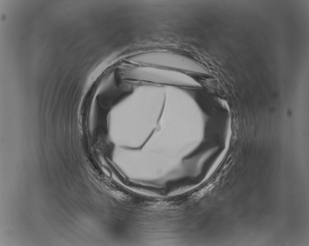 X0000062140246200601060930