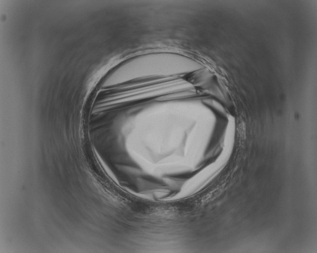 X0000062140248200601060930