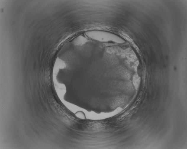 X0000062140249200601060930