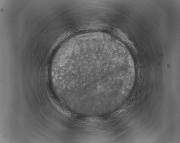 X0000062140250200601060930