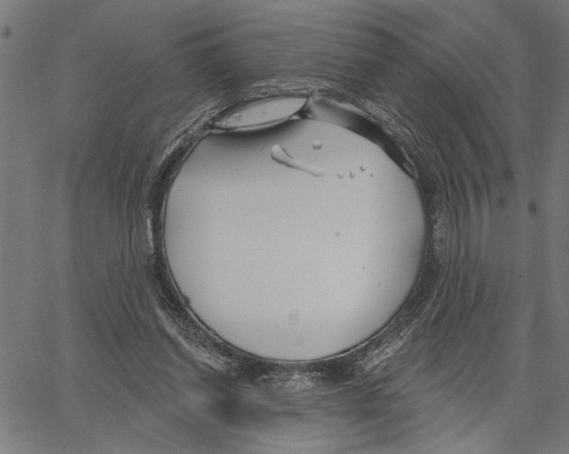 X0000062140254200601060930