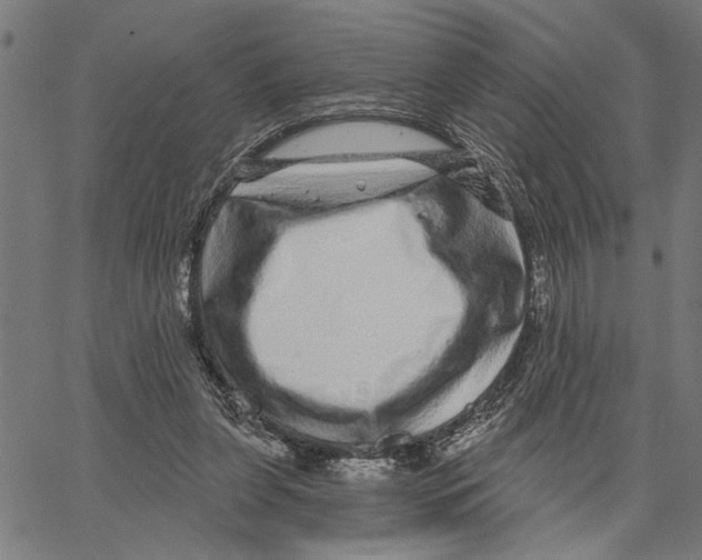 X0000062140255200601060930