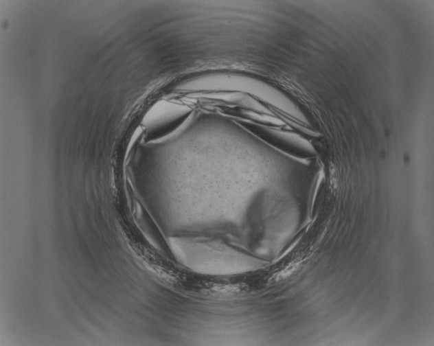 X0000062140256200601060930