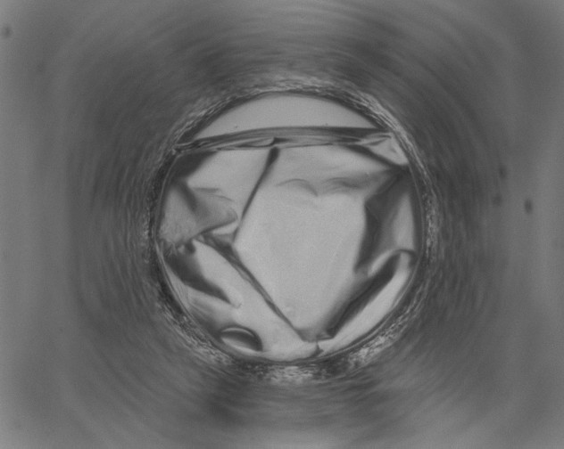 X0000062140257200601060930