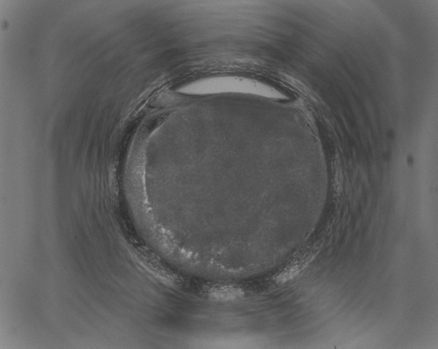 X0000062140258200601060930