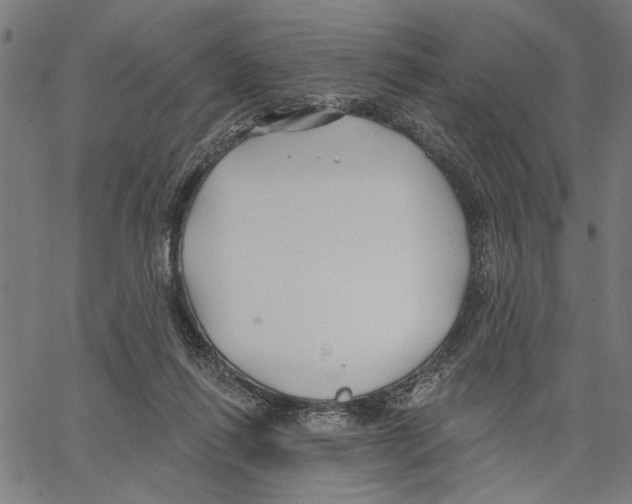 X0000062140262200601060931