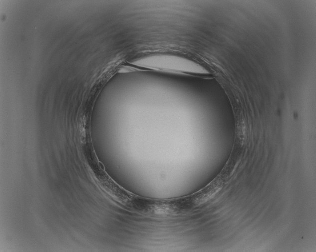 X0000062140264200601060931