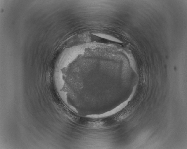 X0000062140266200601060931