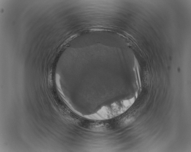 X0000062140267200601060931