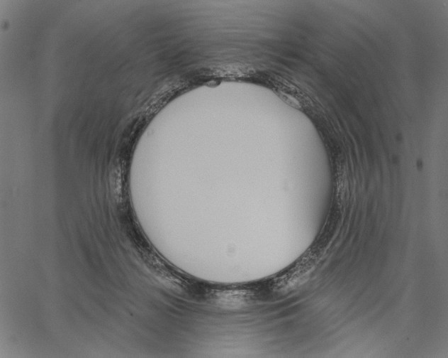 X0000062140268200601060931