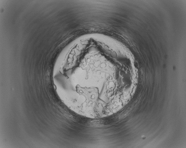 X0000062140269200601060931