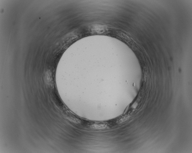 X0000062140270200601060931