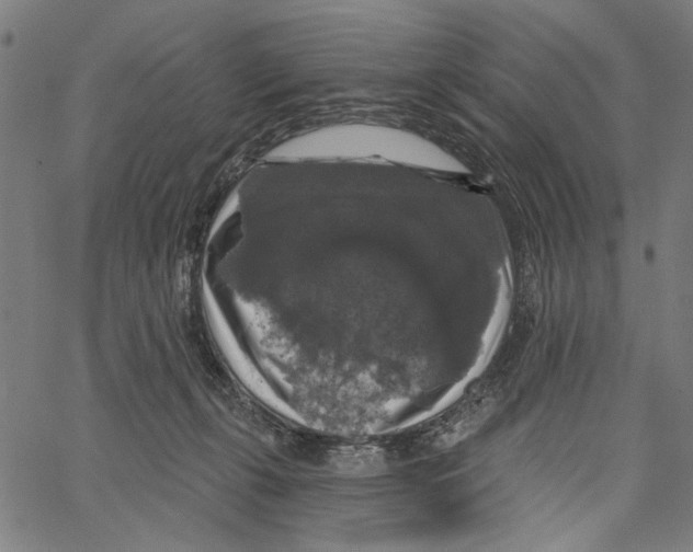 X0000062140271200601060931