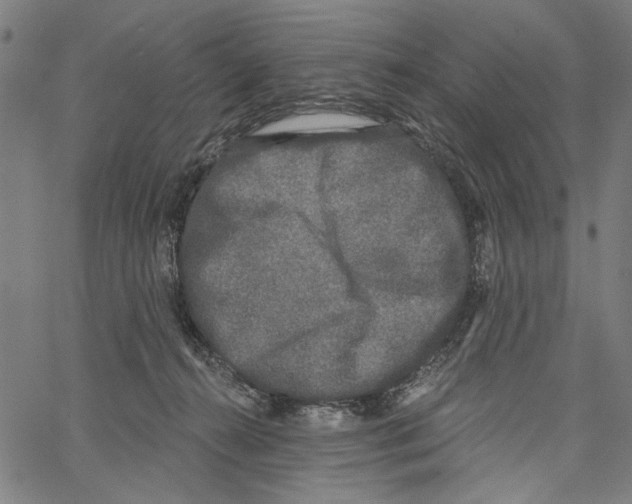 X0000062140272200601060931