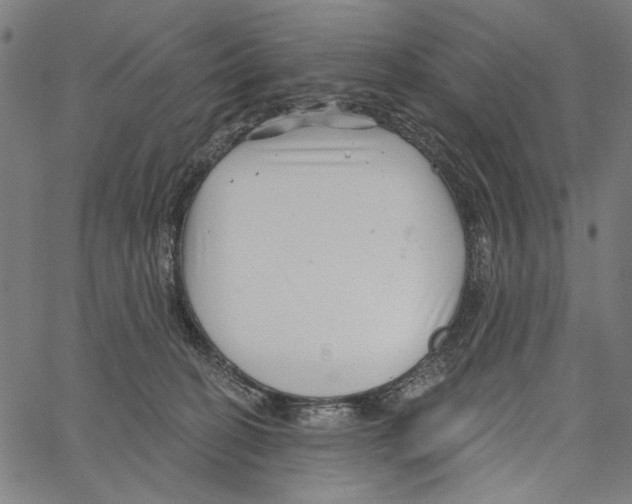 X0000062140274200601060931