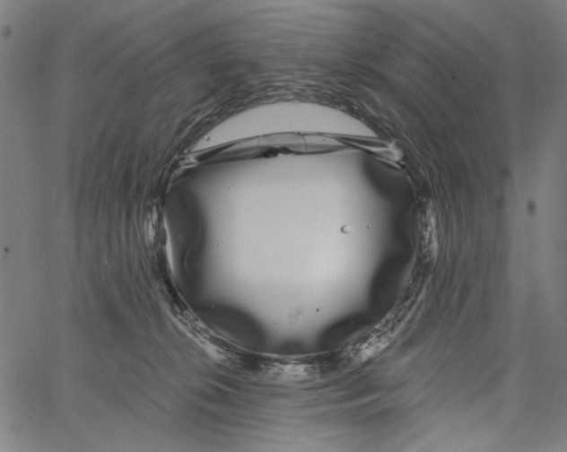 X0000062140276200601060931