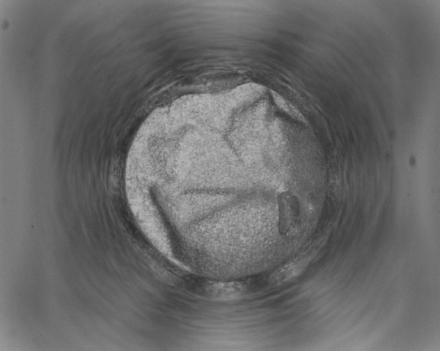 X0000062140277200601060931