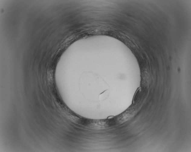 X0000062140278200601060931