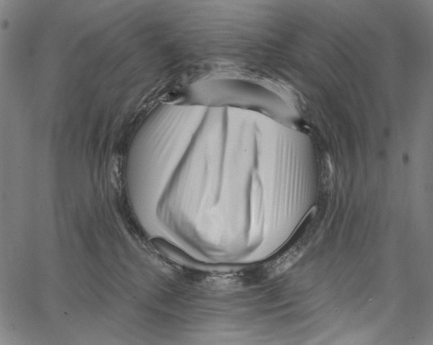 X0000062140280200601060931