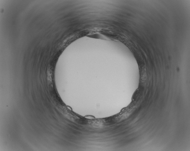 X0000062140282200601060931