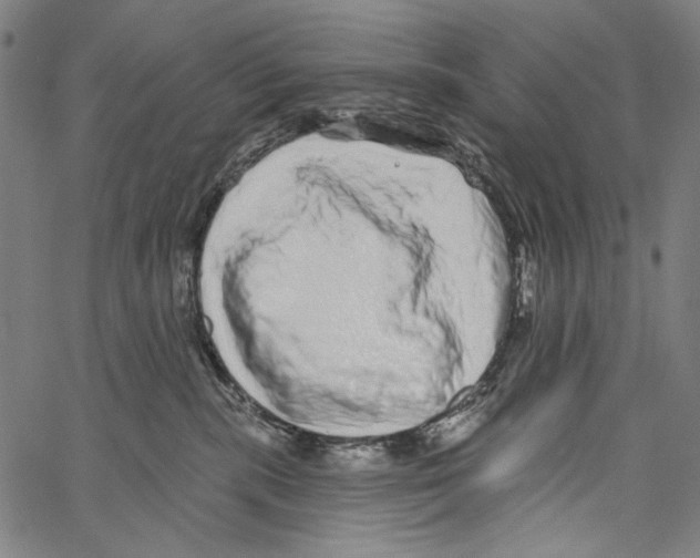 X0000062140283200601060931