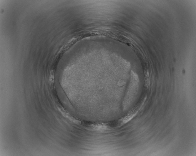 X0000062140284200601060931