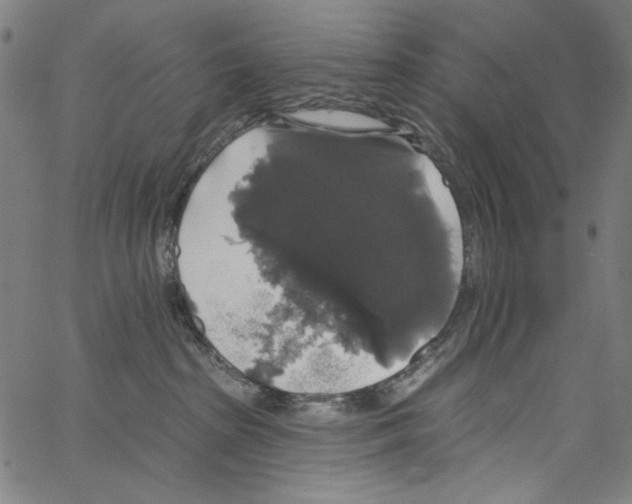 X0000062140285200601060931