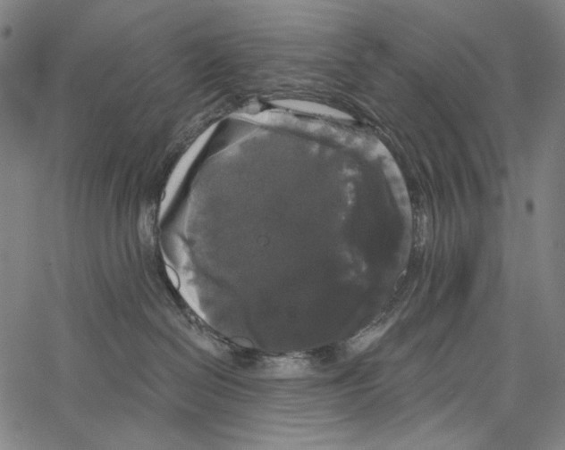 X0000062140286200601060931