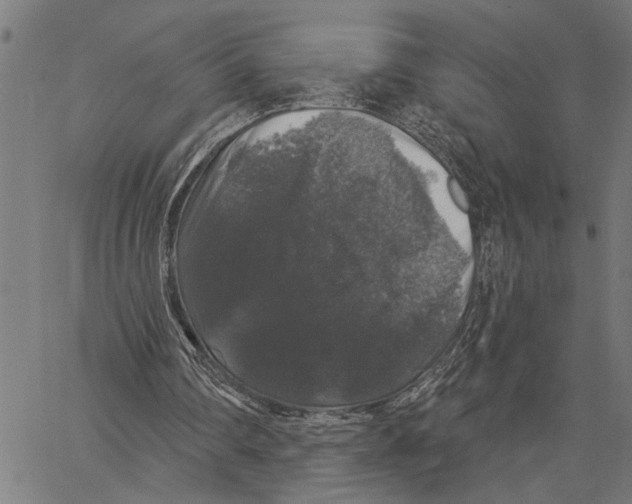 X0000062140290200601060930