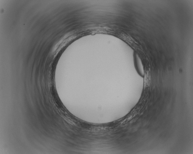 X0000062140291200601060930