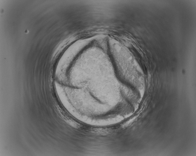 X0000062140293200601060930