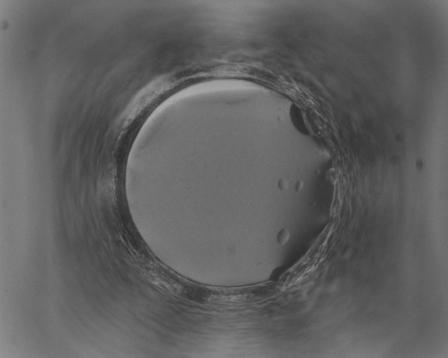 X0000062140295200601060930